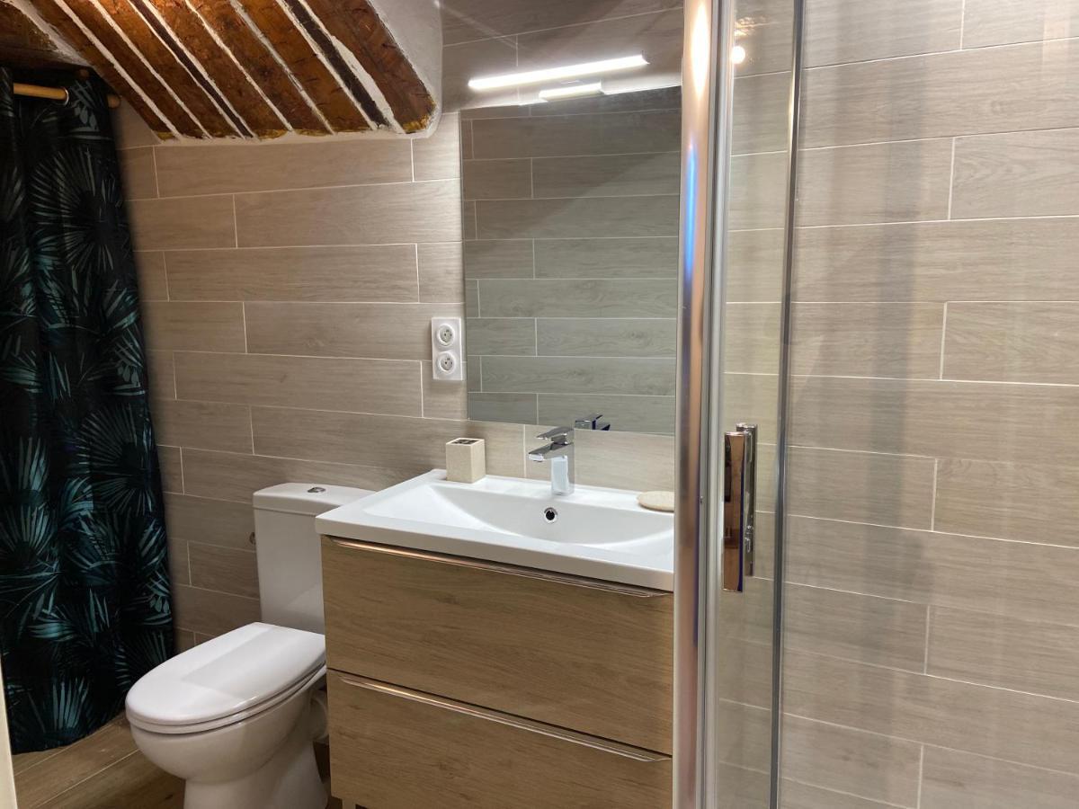 Grand Appartement Centre Historique Γκρας Εξωτερικό φωτογραφία
